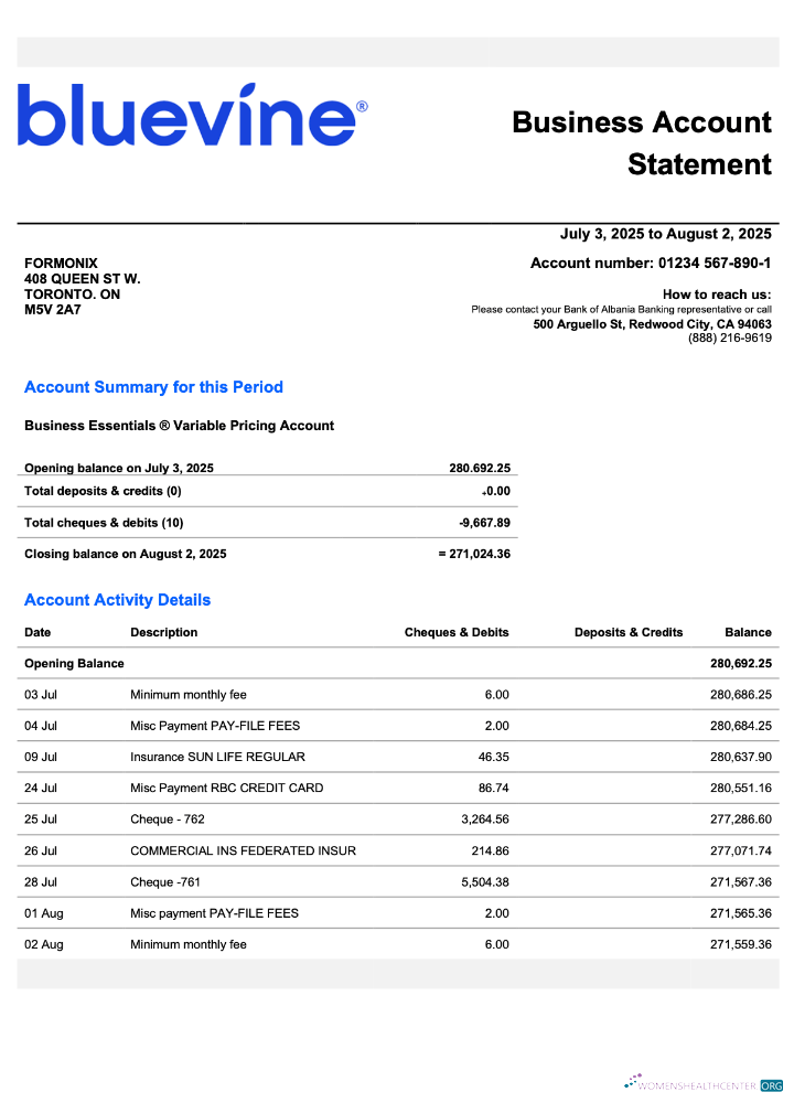 USA California BlueVine business checking account statement Word and PDF template
